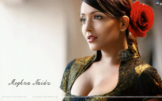 Woman flower dress head red - ella guru free wallpaper