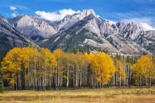 Mountain forest field autumn sky - a grassy field in the foreground free wallpaper