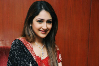 Woman red black sari smiling - sari free wallpaper