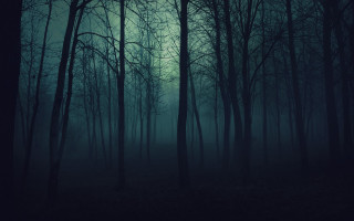 Dark forest trees fog night - a full moon in the distance free wallpaper