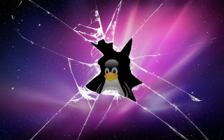 Broken glass penguin purple background - a penguin free wallpaper for desktop
