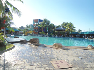 Large swimming pool crowded trees - a large swimming pool free wallpaper