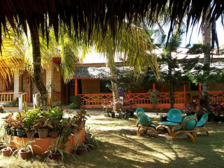 Lawn chairs plants house thatched - ding yunpeng free wallpaper