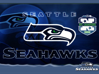 Seattle seahawks helmet birds digital - bird free wallpaper for desktop