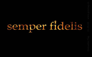 Black background gold text semper - felipe seade free wallpaper