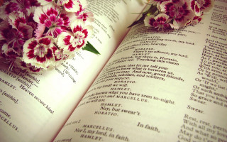 Book flowers top words read - a book free wallpaper