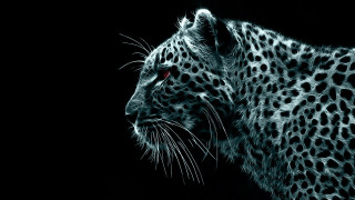 Leopard face red eyes black - red eye free wallpaper
