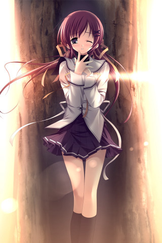 Girl beach sunset anime kneehighs - a doorway free wallpaper