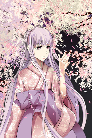 Woman pink dress tree pink - pink flower free wallpaper for mobile