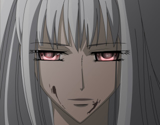 Anime character long hair red - a gray background free wallpaper