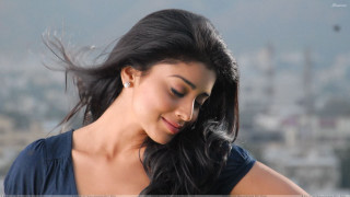 Araceli gilbert smiling blue shirt - a blue shirt free wallpaper for desktop