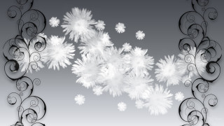 Snowflakes black white gray background - the edge free wallpaper
