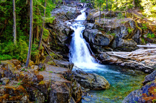 Waterfall forest rocks trees stream 9 - a waterfall in a forest free wallpaper