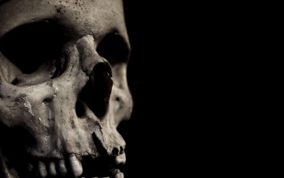 Skull tooth black background white 2 - vanita free wallpaper