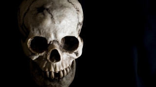 Skull black background white skull 3 - skull free wallpaper