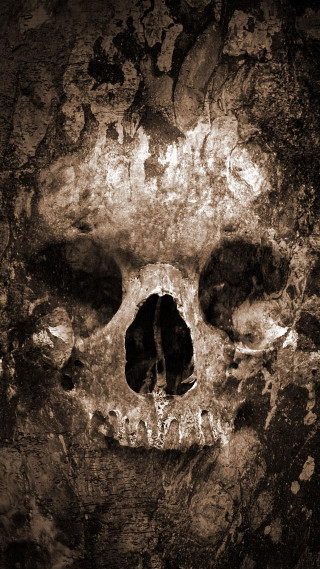 Skull rock wall hole face - free sci-fi wallpaper for mobile