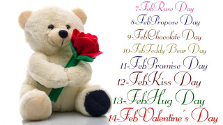 Teddy bear rose romantic valentines - a teddy bear free wallpaper