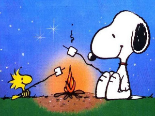 Snoopy dog campfire sitting lap 2 - a campfire free wallpaper