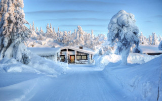 Cabin snowy road trees winter - fantastic realism free wallpaper