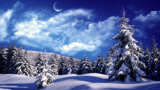 Snowy moonlit forest blue sky - a few tree free wallpaper