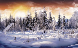 Snowy landscape trees clouds sunset 2 - free winter wallpaper