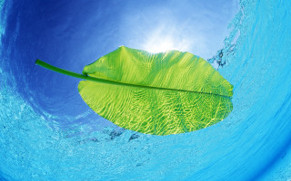 Leaf floating water blue sky 2 - photorealistic imagery free wallpaper