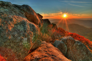 Sunset mountain rocks red leaves - a bright sun in the distance free wallpaper