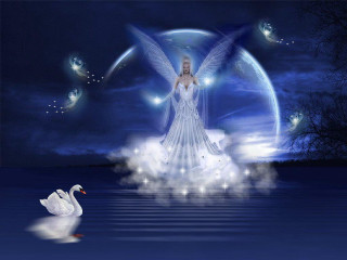 Woman white dress swan water - a swan free wallpaper