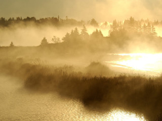 River fog trees sunset distant - alvan fisher free wallpaper