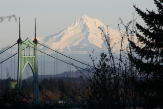 Bridge mountain trees snow capped - a mountain in the background and trees free wallpaper for desktop