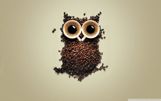 Coffee owl coffee beans eyes 2 - free bird wallpaper for desktop