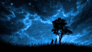 Couple tree blue sky stars - night sky free wallpaper for desktop