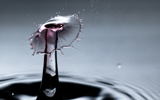 Drop water purple substance black - a drop of water free wallpaper for desktop