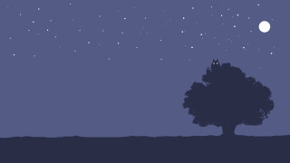 Tree bird night sky stars - night sky free wallpaper