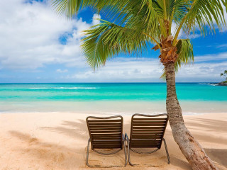 Two chairs beach palm ocean - two chair free wallpaper