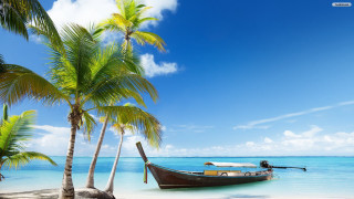 Tropical beach boat docked palm - clear blue water free wallpaper