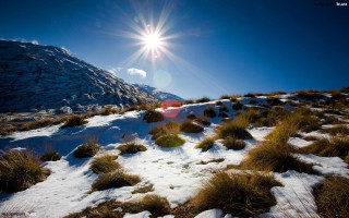 Sunny snowy mountain landscape grass - grass and bushes free wallpaper