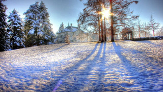 Snow covered field house trees - field free wallpaper for desktop