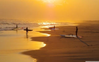 Beach sunset surfboards ocean group - almada negreiro free wallpaper