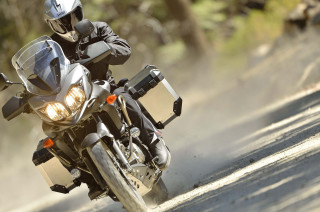 Man motorcycle forest sunny day - a man riding free wallpaper