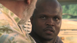 Bald man beard faces looking - a bald man free wallpaper