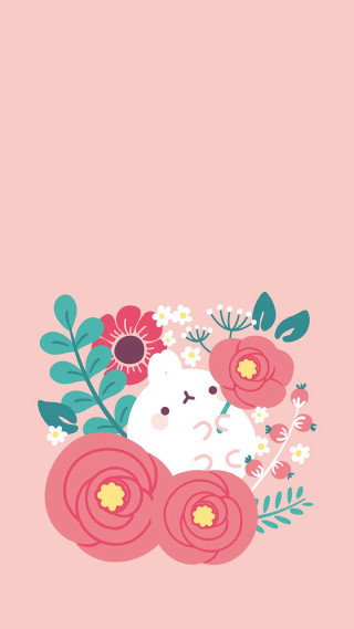Pink background white cat flowers - red flower free wallpaper for mobile
