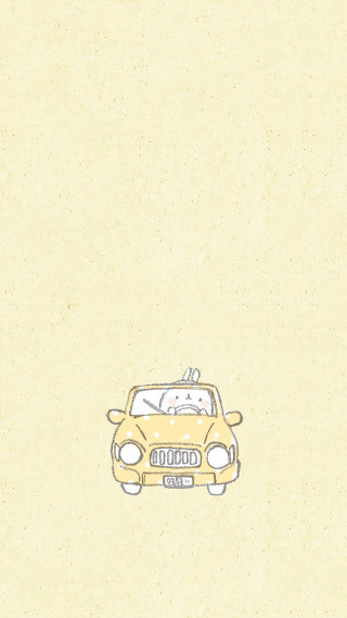 Car dog cat driving road - the road free wallpaper for mobile