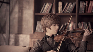 Young man violin library bookshelves - rococo free wallpaper