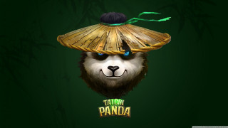 Panda bear bamboo hat green - a panda bear free wallpaper