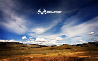 Beautiful sky clouds logo environmental - a beautiful sky free wallpaper
