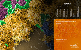 Calendar sprouts colored cover description - analytical art free wallpaper for desktop