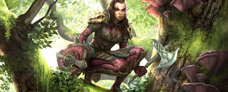 Woman red dress tree stump - a tree stump in a forest free wallpaper