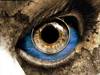 Blue eye black circle iris 4 - a blue eye free wallpaper