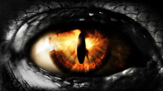 Dragon eye closeup eyeball center - red eye free wallpaper